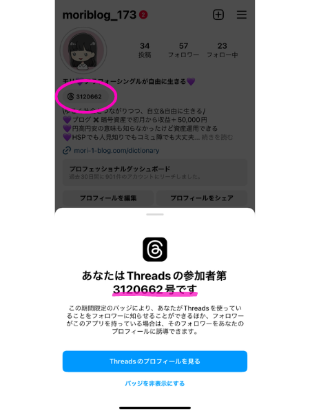 インスタ、Threads参加者第３１２０６６２号