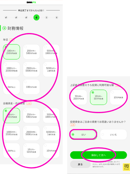 DMM FX口座開設
資産状況入力画面